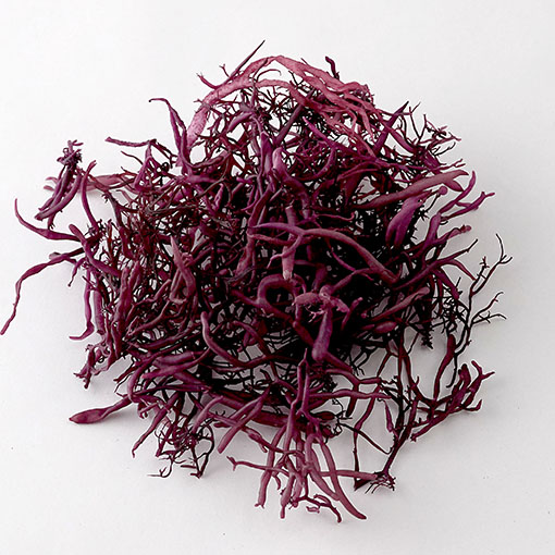 国産　袋ふのり / 30g