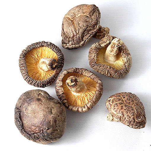 国産原木栽培　椎茸肉厚 / 80g