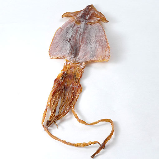 国産するめ / 1枚