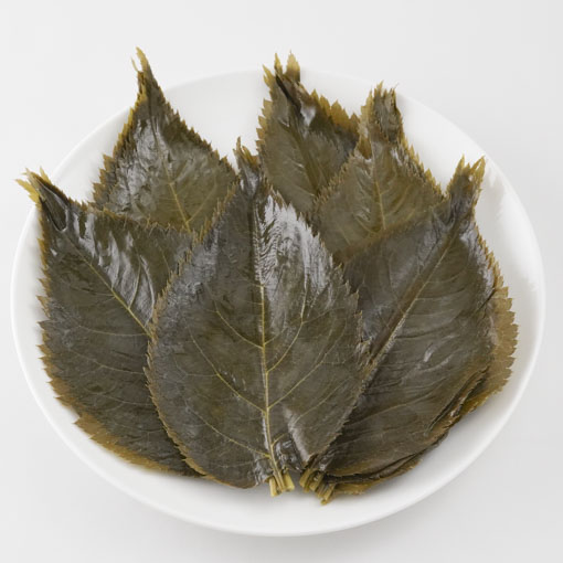 伊豆産 桜葉の塩漬 / 10枚
