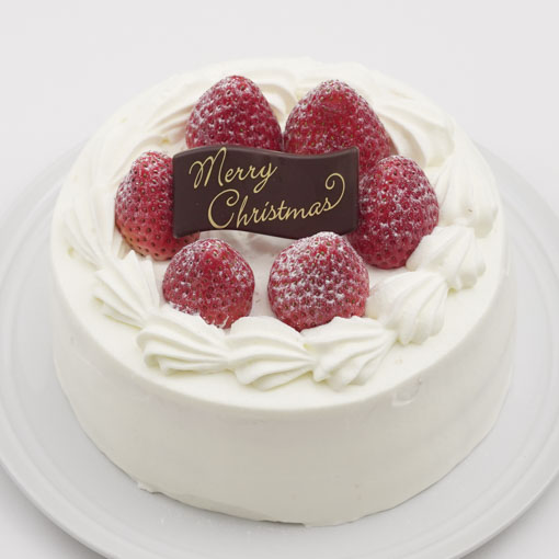 サーフスイート / 1個