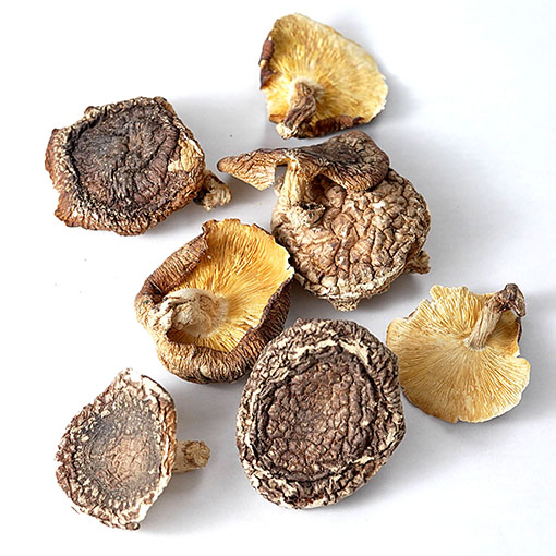 国産原木栽培　特中葉　椎茸 / 100g