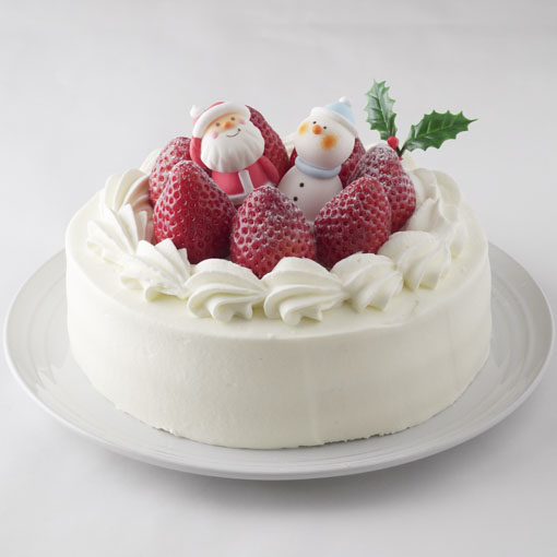 コリーヌヒイラギ（大） / 50本