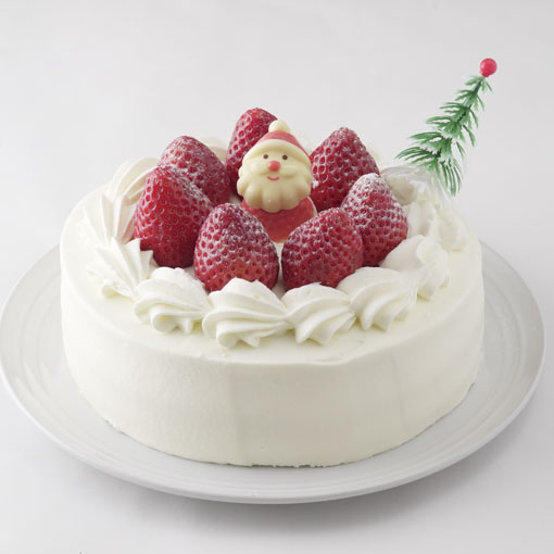 ショコラッテ ノエルフレーズ / 1個