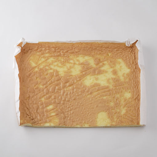 冷凍スポンジシート / 1枚