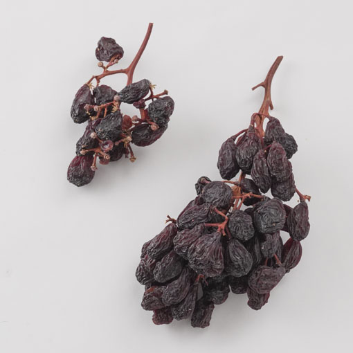 枝付レーズン / 100g