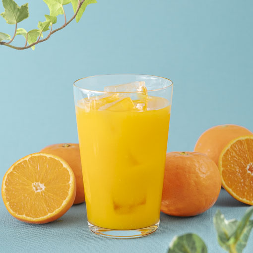 もぎたてみかんジュース 温州みかん / 500ml